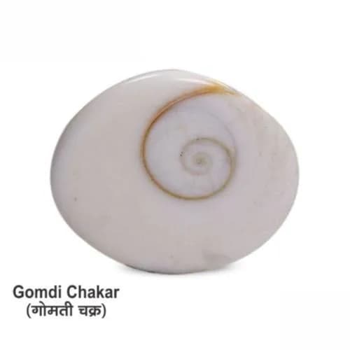 Gomti Chakra Natural 1Pc