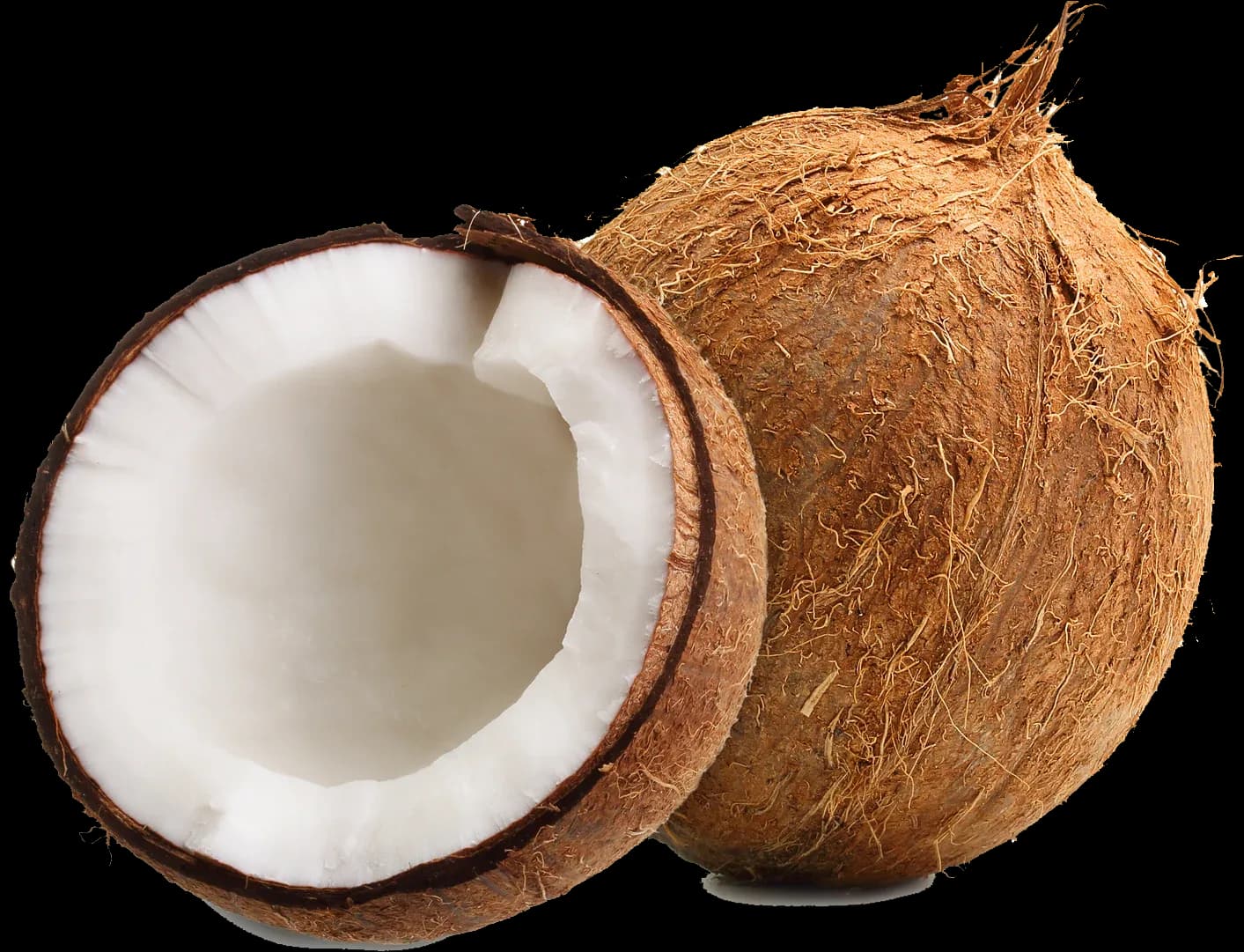 Fresh Coconut (Indian)