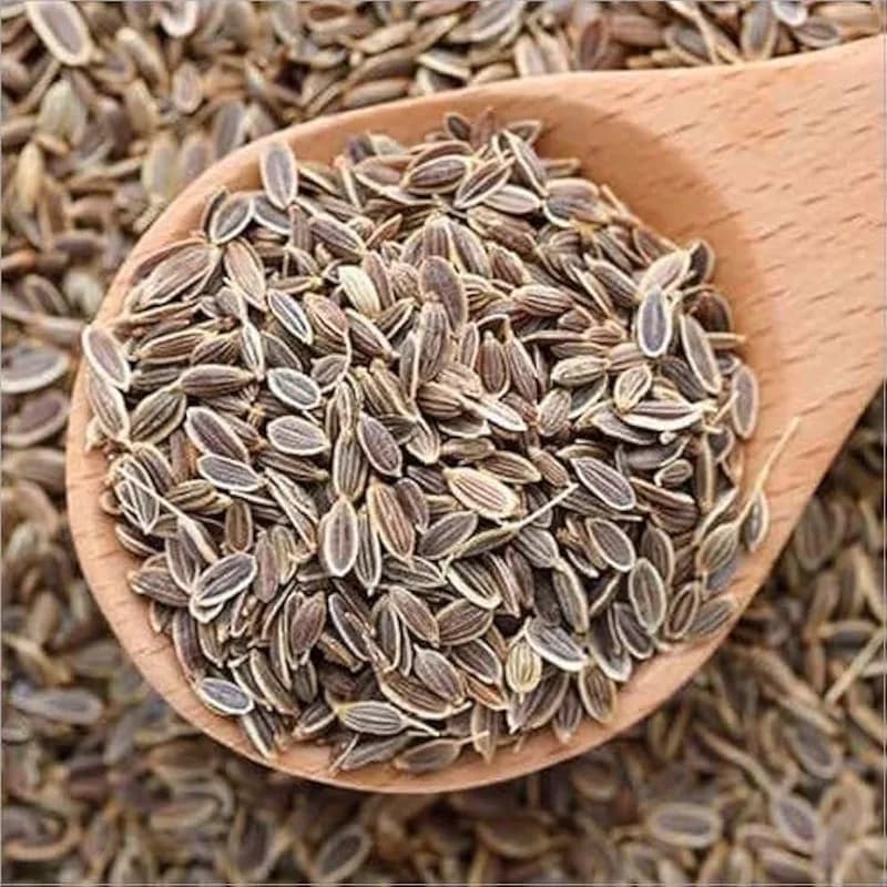 Dill Seed 100gm
