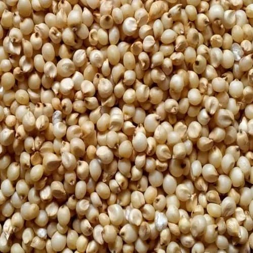Royal Jawar Whole (Sorghum Whole) Great Millet 500g