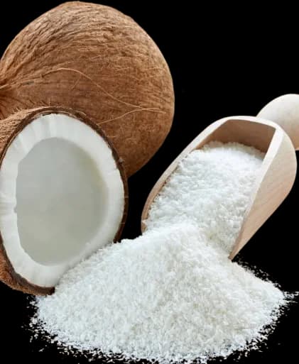 Coconut Fine 500gm
