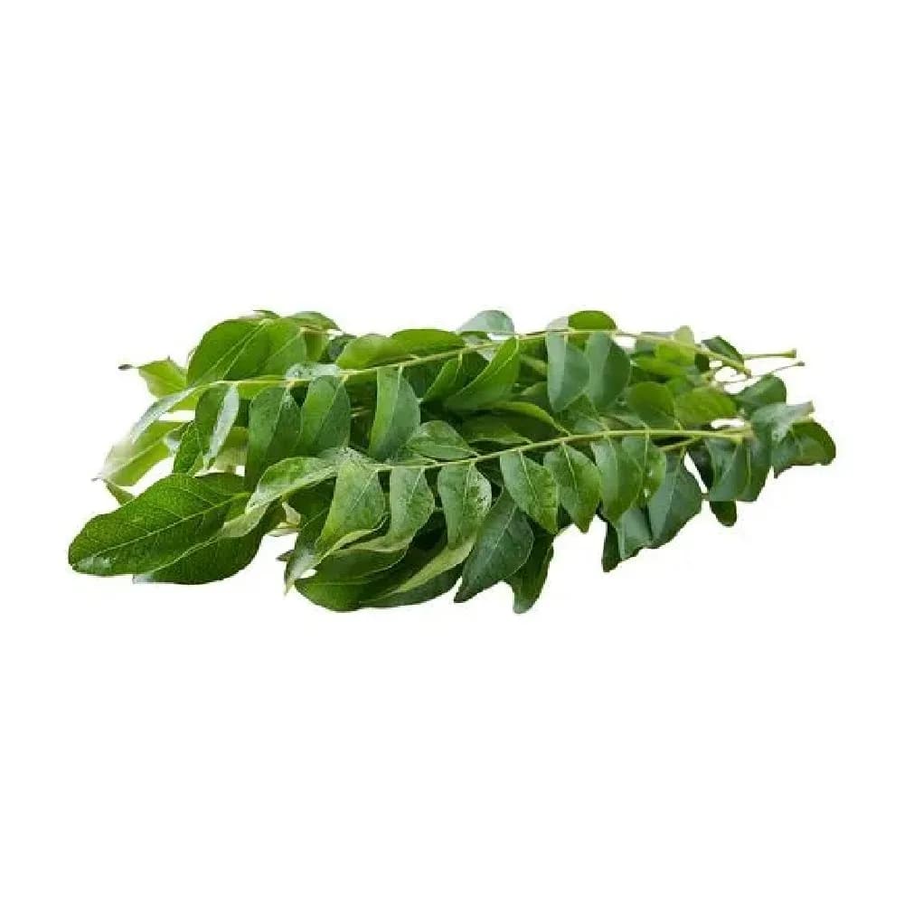 Fresh Curry Leaves (India)