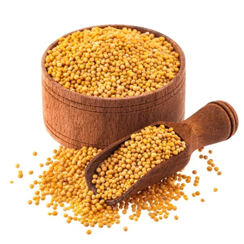 Mustard Seed Yellow 500gm
