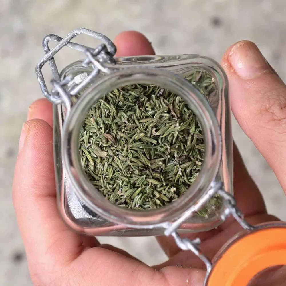 Thyme 20gm