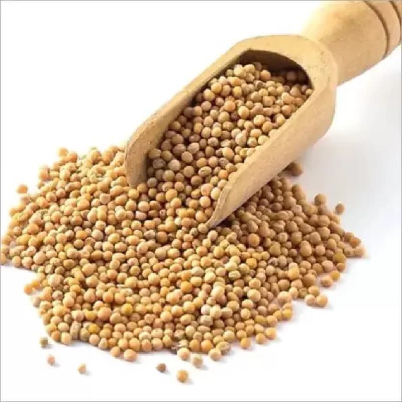 Yellow Mustard Seed  100gm